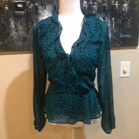 Teal Leopard Print Long Sleeved Women's Top - Picture 1 of 7